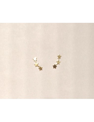 PENDIENTES TREPADORES FLOR MATE BRILLO