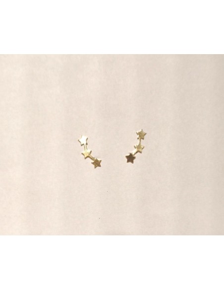 PENDIENTES TREPADORES FLOR MATE BRILLO