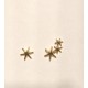 PENDIENTES ORO DIFERENTES ESTRELLAS MAR