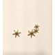 PENDIENTES ORO 