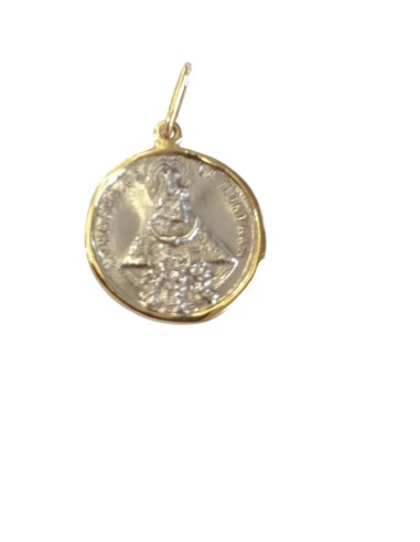 COLGANTE MEDALLA PLTA -BRONCE PEQUEÑO