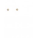 PENDIENTES ORO FLOR NACAR