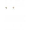 PENDIENTES ORO FLOR NACAR