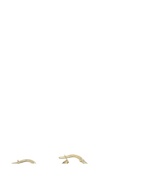 CRIOLLA ORO MARTILLEADA 20*2MM