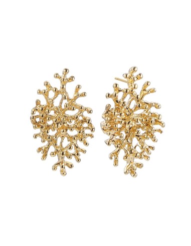 PENDIENTES P.DURAN EDIC.LIMIT FORMA RAIZ